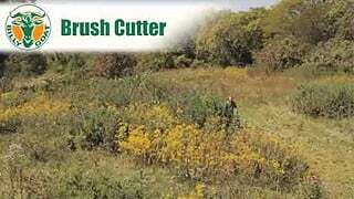 Outback Brushcutter