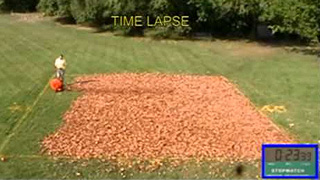 Wheeled Leaf Blower VS. Backpack Leaf Blower
